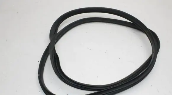 KIA EV6 Rubber seal rear door 