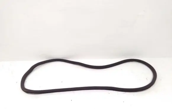 Porsche Panamera (971) Rear door rubber seal (on body) 971833721