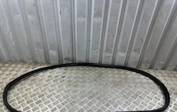 Mercedes-Benz C W205 Front door rubber seal A2056970051