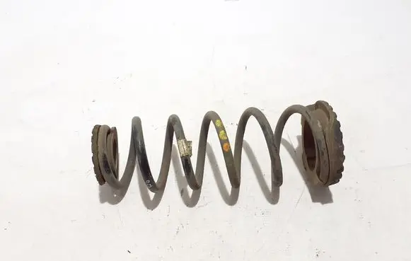 Fiat 500L Rear coil spring 51936535