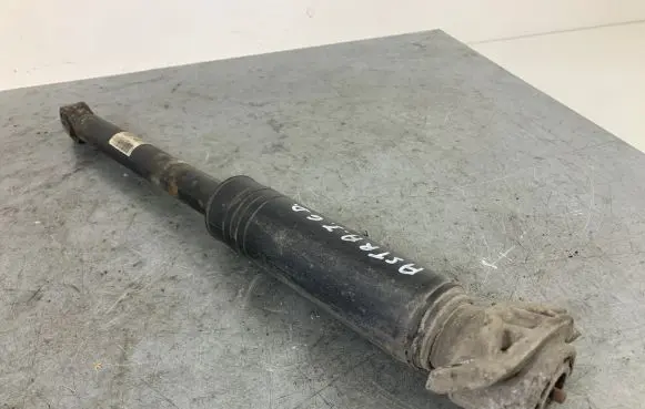 Opel Astra J Rear shock absorber/damper 13412740