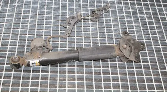 Lexus RX 450H Rear shock absorber/damper 4854048392