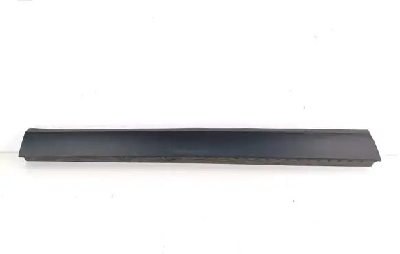 Front door trim (molding)
