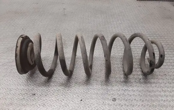Volkswagen PASSAT B6 Rear coil spring
