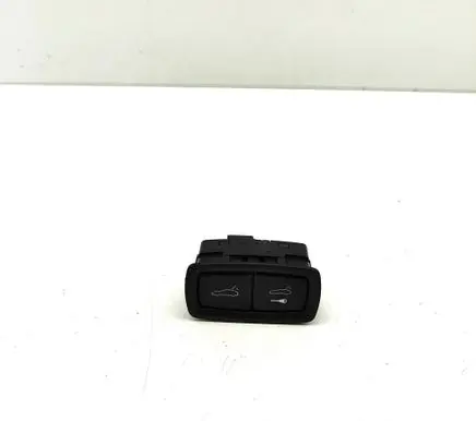 Porsche Cayenne (9Y0 9Y3) Tailgate/boot open switch button 971959832C