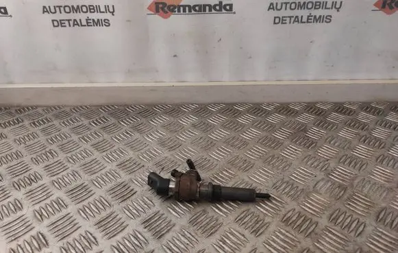 Citroen Berlingo Fuel injector 9652173780