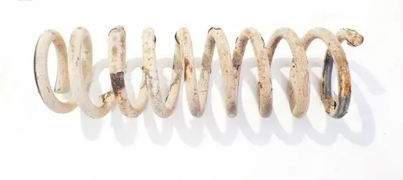 Rear coil spring
