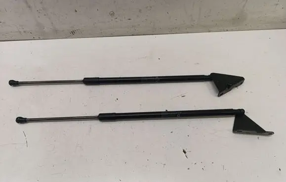 Opel Grandland X Tailgate/trunk strut/damper 9841149980
