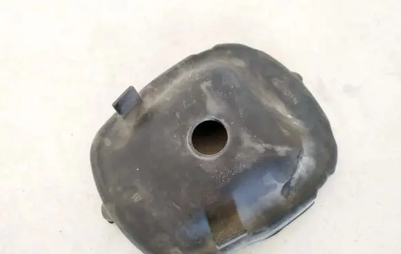 Headlight/headlamp dust cover