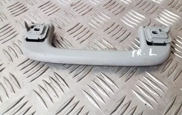 Front interior roof grab handle