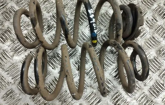 Renault Zoe Rear coil spring