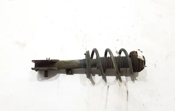 Chrysler Pacifica Front shock absorber/damper 68294076AF
