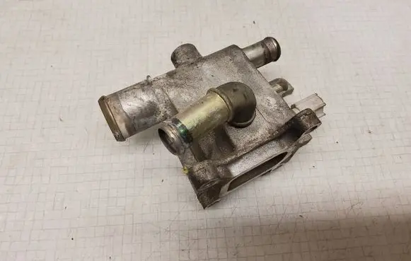 Thermostat/thermostat housing