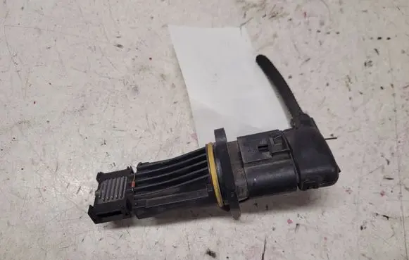 Skoda Octavia Mk2 (1Z) Mass air flow meter F00C2G2055