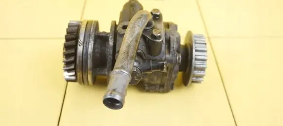 Volkswagen Touareg I Power steering pump 070145249 BPE