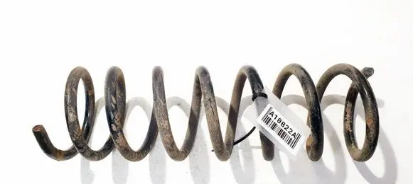 Ford Focus C-MAX Rear coil spring 