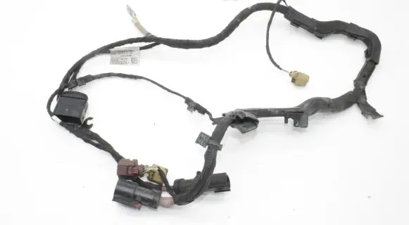 Audi A6 S6 C8 4K Other wiring loom 4K2971111A