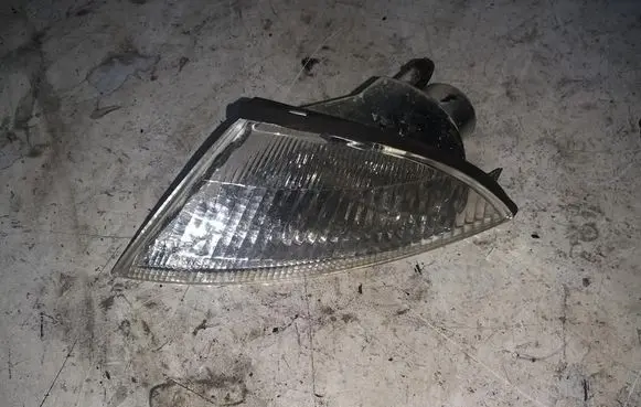 Front fender indicator light