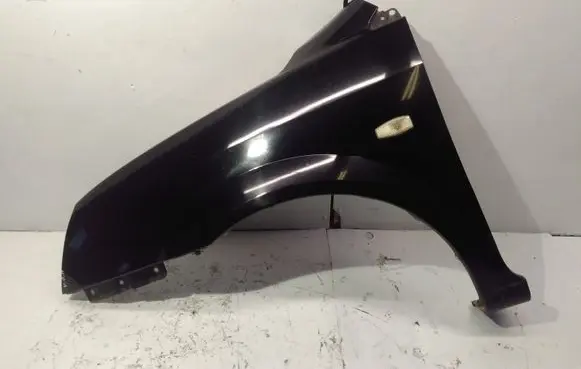 KIA Carens I Fender