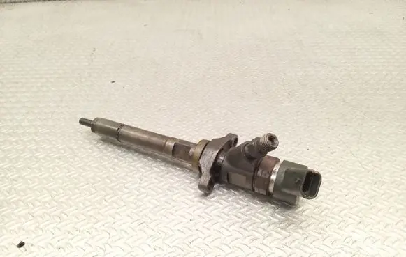 Citroen C5 Fuel injector 0445110259