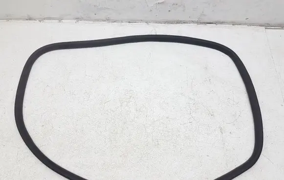 Ford Escape IV Rear door rubber seal (on body) 