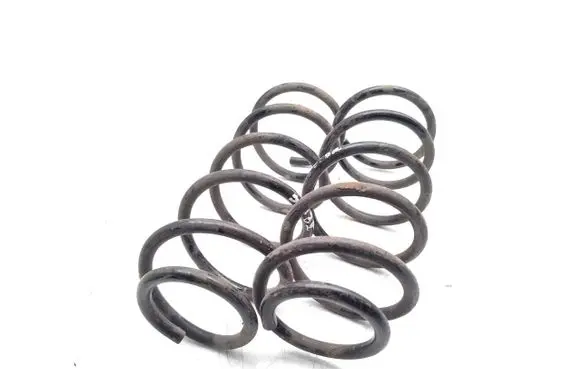 Rear coil spring