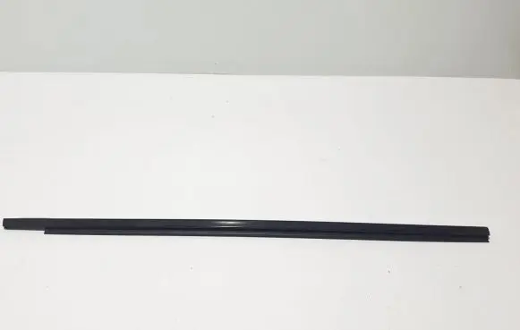Renault Arkana Front door glass trim molding 808203961R