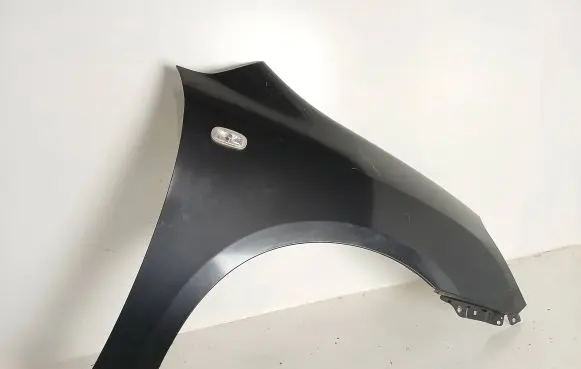 KIA Carens II Fender