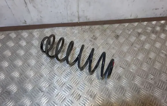 Ford Fiesta Rear coil spring NERA