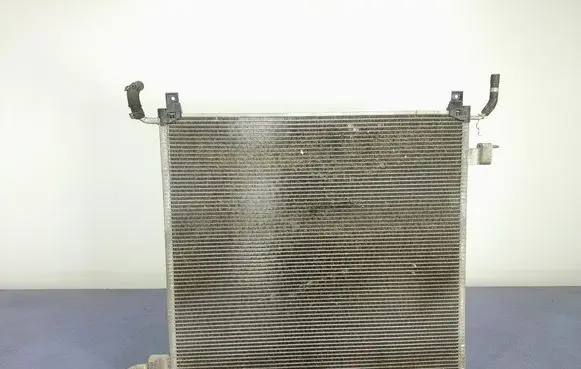 Land Rover Range Rover Sport L320 Air conditioning (A/C) radiator (interior) FPLA-8K230-AA