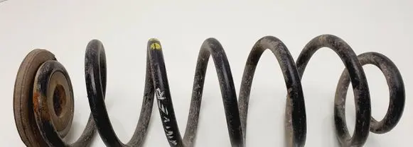 Volkswagen PASSAT B6 Rear coil spring
