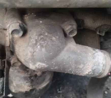 Opel Signum Engine coolant pipe/hose