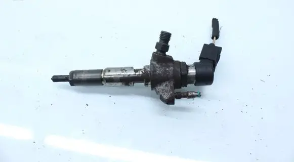 Citroen C4 Grand Picasso Fuel injector 50274V05