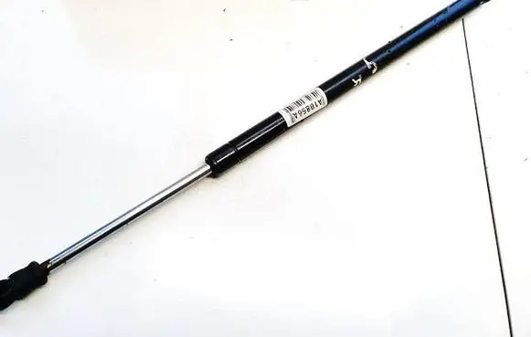 Tailgate/trunk strut/damper