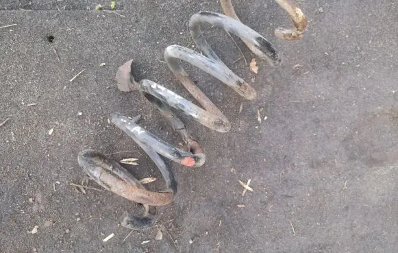 Ford S-MAX Rear coil spring