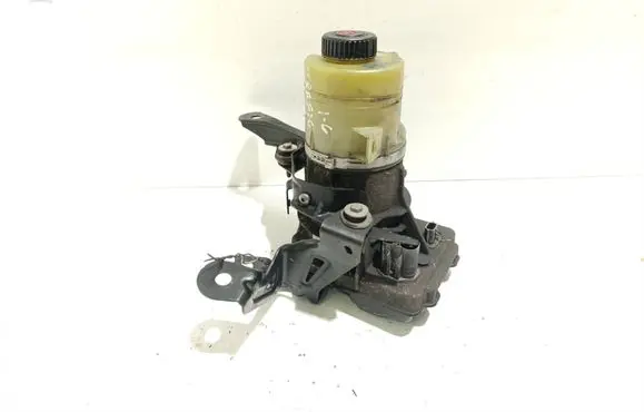 Electric power steering pump