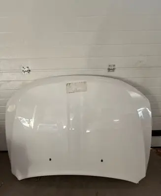 Engine bonnet/hood