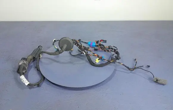 Skoda Superb B5 (3U) Other wiring loom 3V1971120AG
