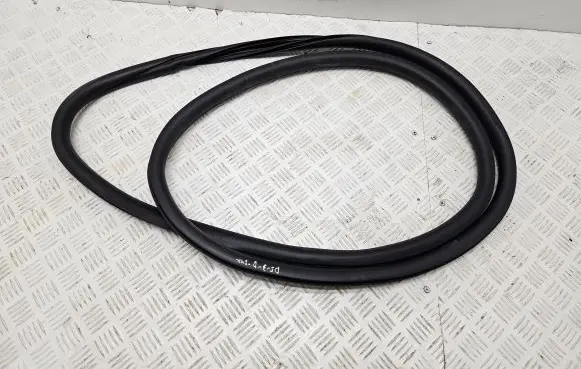 Citroen DS3 Rubber seal front coupe door 9670312080