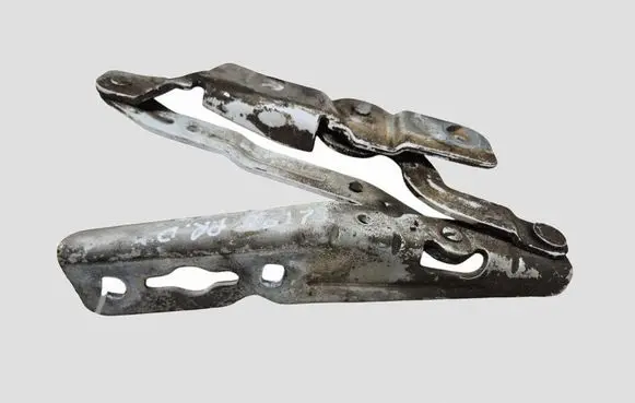 Ford C-MAX II Engine bonnet/hood hinges AM51R16800AFRH