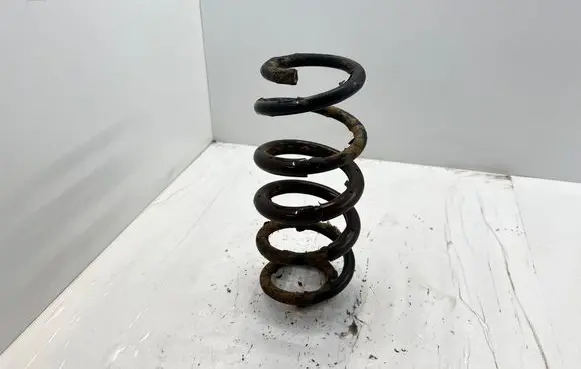 Toyota RAV 4 (XA30) Rear coil spring 