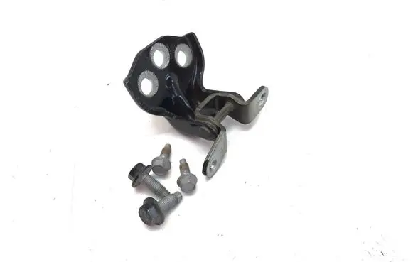 MG ZS Rear door lower hinge 50011520 A067353