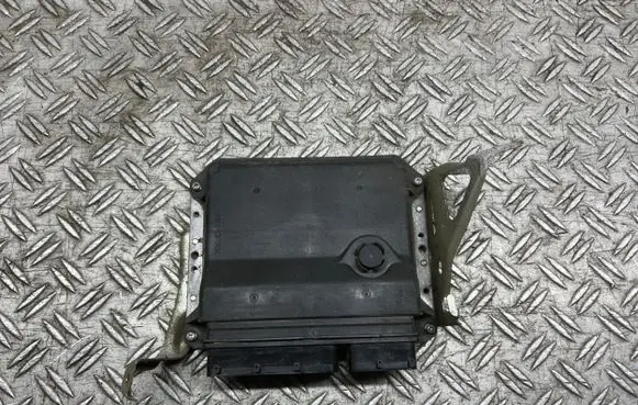 Toyota Auris 150 Engine control unit/module 8966102D71