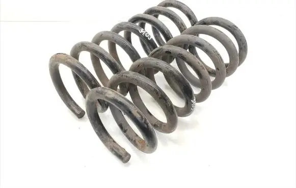 Rear coil spring