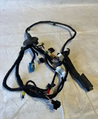 Volkswagen ID.3 Front door wiring loom TAB016130AG 13092019 2030302006