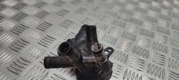 Thermostat/thermostat housing