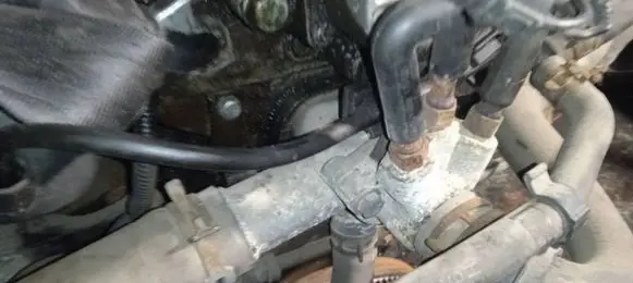 Volkswagen Golf IV Engine coolant pipe/hose 038121133A