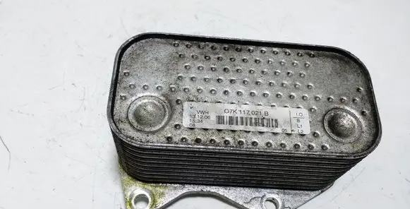 Volkswagen Jetta V Oil filter mounting bracket 07K117021B