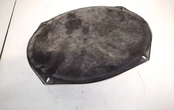 Chrysler 200 Front door speaker 05091019ab