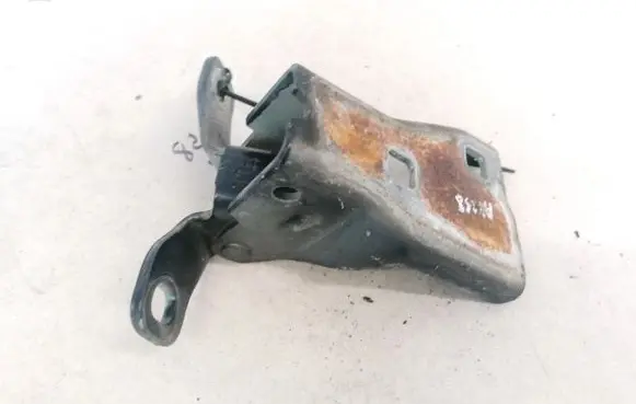 Chrysler Sebring (ST-22 - JR) Rear door lower hinge